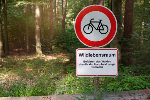 A prohibition sign for cyclists in a forest landscape