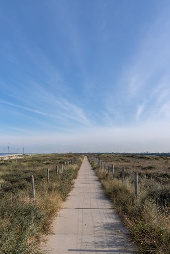 A vertical shot of a narrow walkway in a field covered in the grass under a blue sky and sunlight