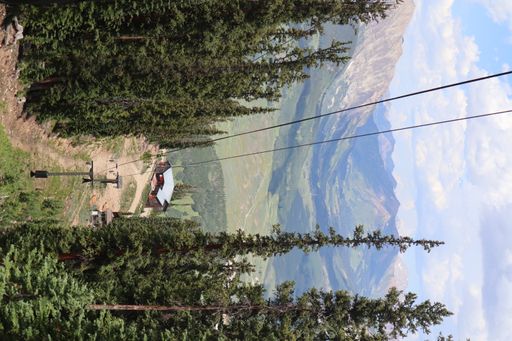 A vertical shot of the ropeway surrounded by green trees.