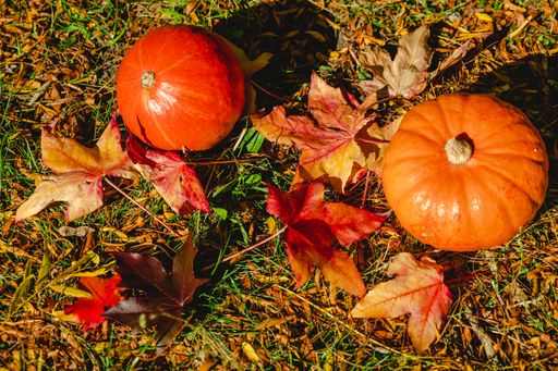 Autumn composition. Pumpkins, candles, dried leaves on white background. Autumn, fall, halloween concept. Flat lay, top view, copy space