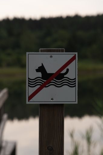 A vertical shot of a "no dogs allowed in the lake" sign with a blurry background