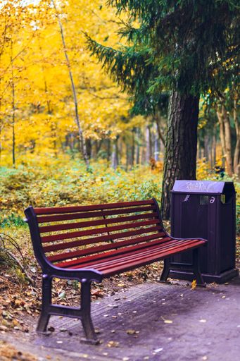 An empty single bench in the park full of yellow trees, autumn in Klaipeda, Lithuania
