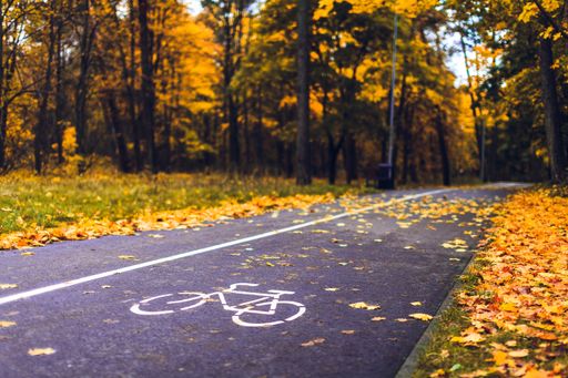 A narrow bicycle road through orange trees in the park, autumn in Klaipeda, Lithuania