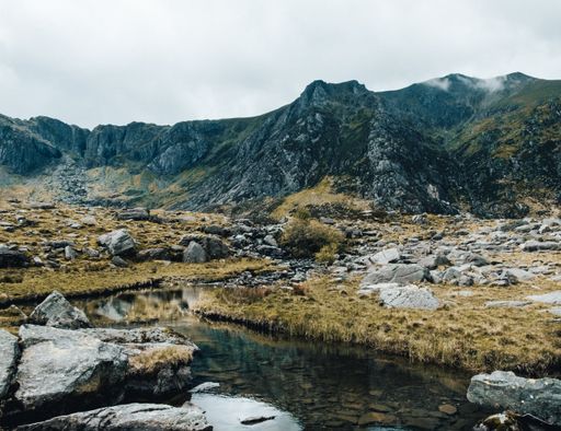 A beautiful shot from Snowdonia National Park, Trawsfynydd, Gwynedd, Wales, UK