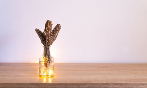 A shot of a couple of feathers stacked together and placed in a glass vase on the wooden table, white wall on the background