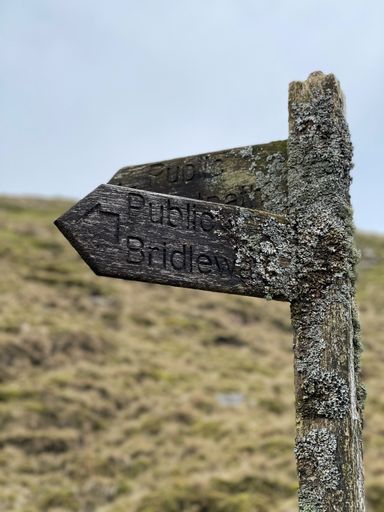A vertical shot of an old wooden "public bridleway" sign in a meadow with a blurry background