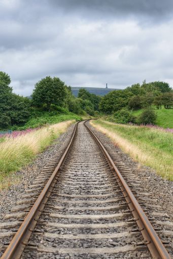 A vertical shot of a train track in a field covered in greenery under a cloudy sky
