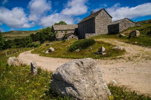 A view of old rural buildings  under the bright sunlight
