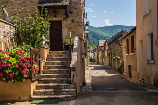 A close-up shot of the beautiful old-style narrow street with the cute flowers under the sun