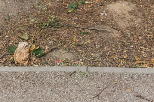 A high angle shot of a footpath edge