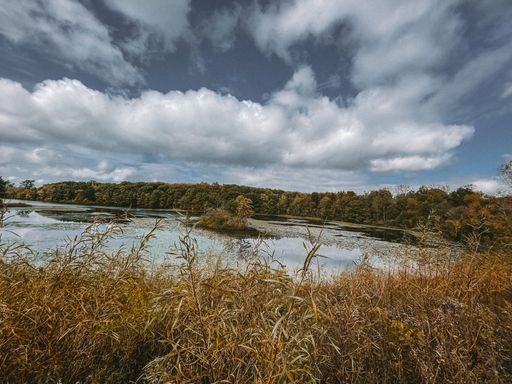 A landscape of a lake surrounded by trees and grass under a cloudy sk