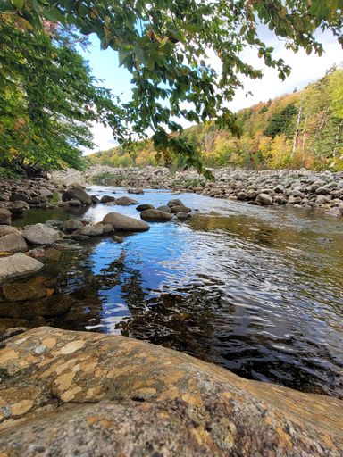 A vertical shot of the river running through the valleys of Cape Breton. Canada.