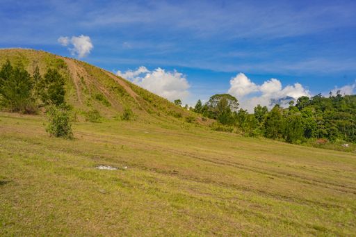 A beautiful view of green meadow fields and beautiful forest under the blue sky