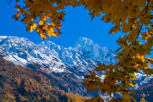 A beautiful autumn view of fields near mountains. Argentiere, Chamonix, Haute Savoie, Haute Savoie