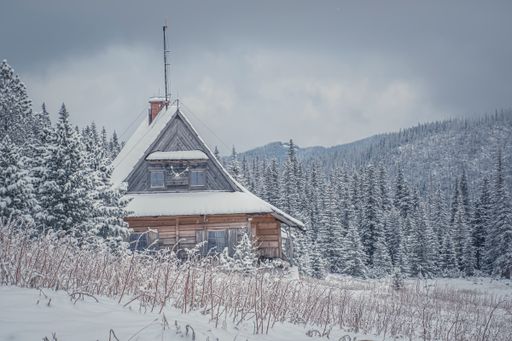 A mesmerizing view of a snow forest of firs and high Tatra Mountain in the background in Poland