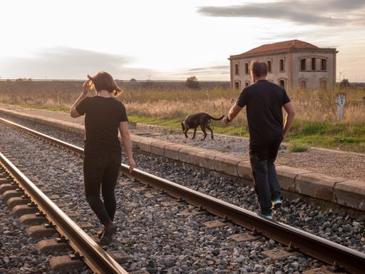 An adult couple walking with their dog on a railroad during sunset