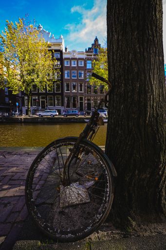 A vertical shot of an old rusty bicycle parked near the tree in Amsterdam