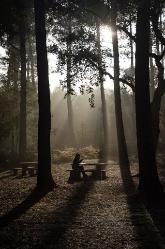 A silhouette of a young girl sitting at a table in the middle of a dark forest under the sunlight