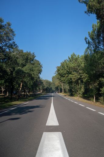 A road between the green trees and sky on the background