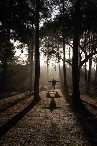 A man on a forest bench on a sunny day