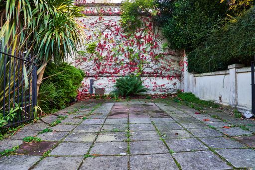 A yard with flowers and palms