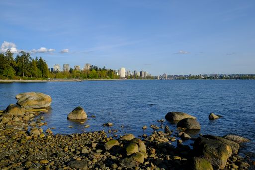 A beautiful view in Stanley Park, Vancouver, Canada