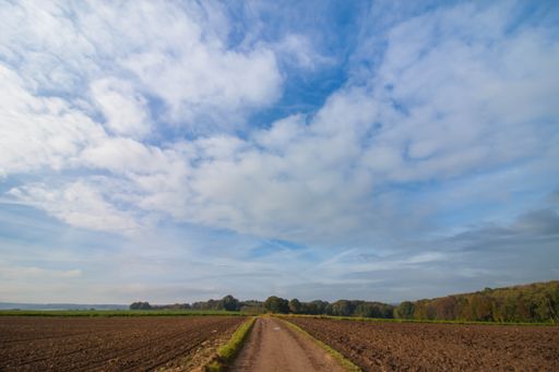 A beautiful view of the road gleaming under the cloudy blue sky