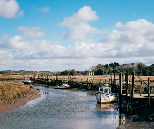 A shot of several boats docked by the riverbank