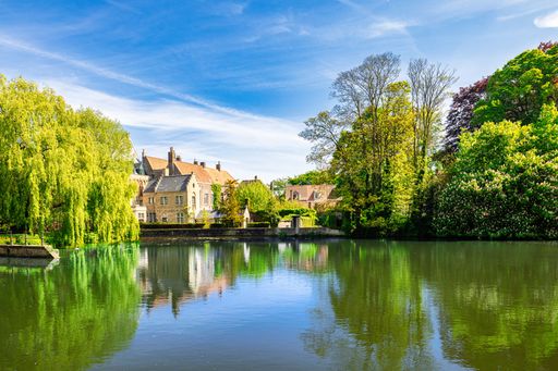 Charming view of Bruges, Belgium with historic buildings and lush greenery reflected in a tranquil lake under a clear blue sky.