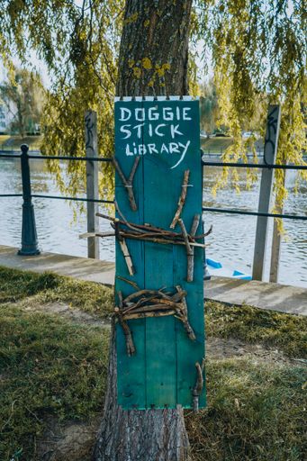 A vertical shot of wood sticks library for dogs