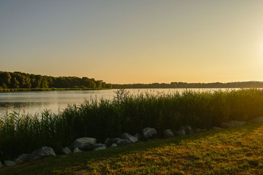 Scenic view of a calm lake at sunset with lush greenery and rocks in the foreground, under a clear sky.