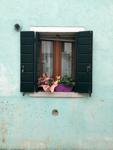 A vertical shot of houseplants in pots on a window