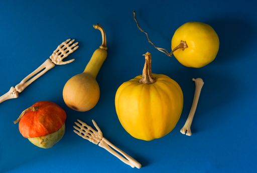 A top view of ripe squashes and pumpkins with skeleton hands for Halloween on a blue surface