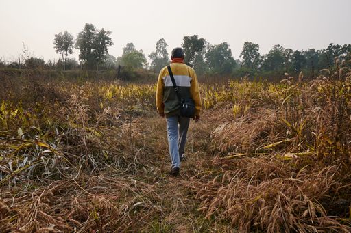 A lone figure wearing a yellow-and-white jacket and shoulder bag walks away down a narrow path flanked by withered reeds and wild grasses.
