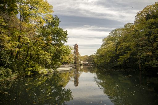 A breathtaking view of a river surrounded by trees under the beautiful cloudy sky