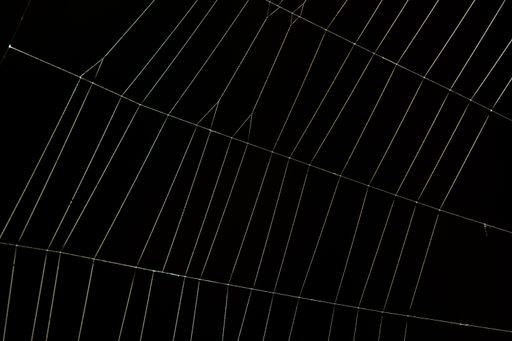 A closeup shot of details of a spider web against a black background