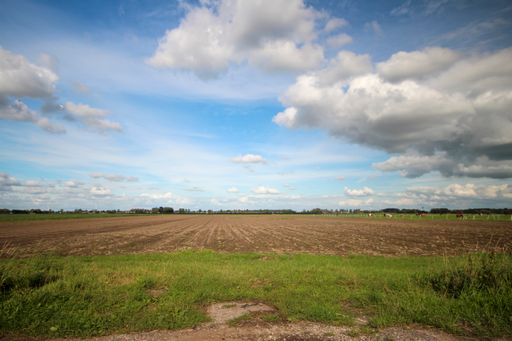 A rural field in the morning in Zuidplaspolder, Netherlands
