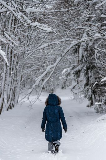 A back view of a person in a coat walking on the thick snowy road in the woods