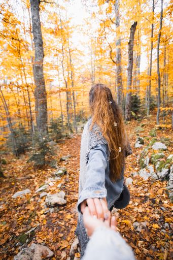 A back view of a female holding her lover's hand and walking through the forest