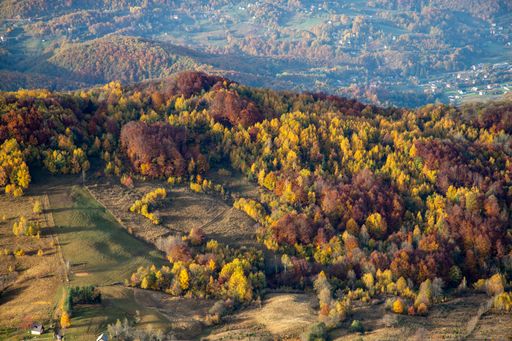 The mountains covered in autumn trees