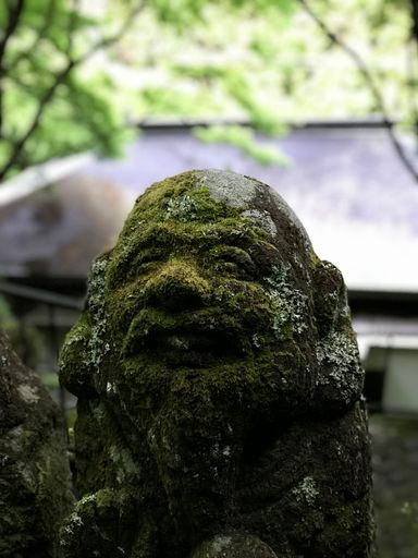 A weathered stone statue, its features softened under a thick coat of emerald moss and lichen, stands sentinel beneath dappled forest light.