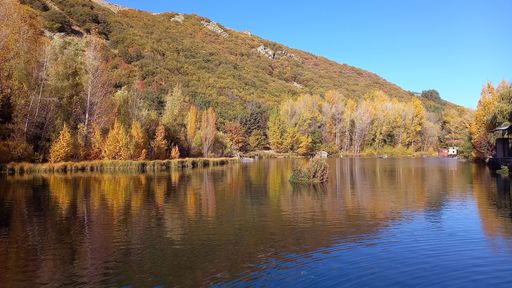 A beautiful view of the lake with forested mountains in the background
