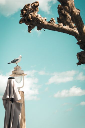 A vertical shot of a seagull on the statue with a tree nearby
