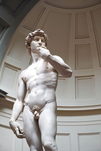The David sculpture by Michelangelo in Accademia Gallery, Florence, Italy