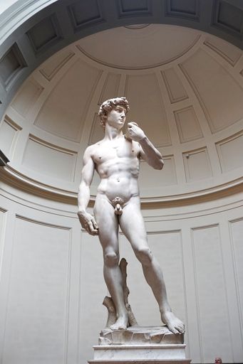 The David sculpture by Michelangelo in Accademia Gallery, Florence, Italy