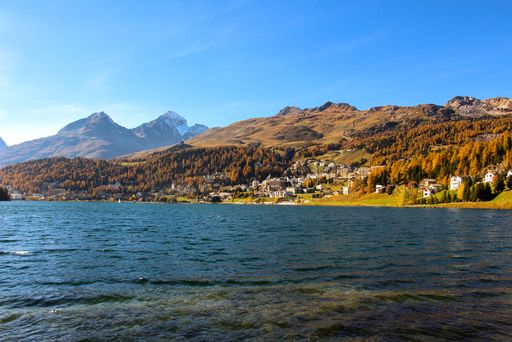 A beautiful shot of autumn trees on a hill along the shore in St. Moritz, Switzerland