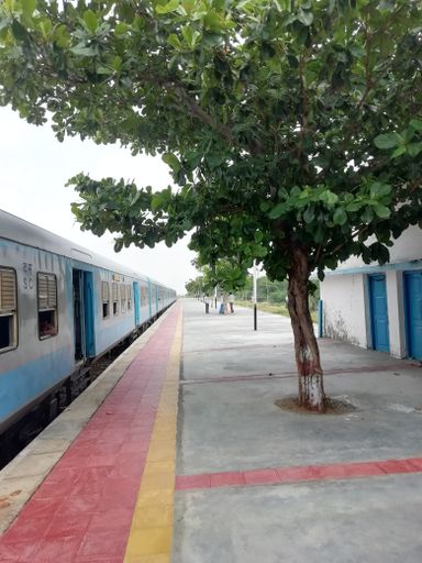 The train in the railway station in the countryside