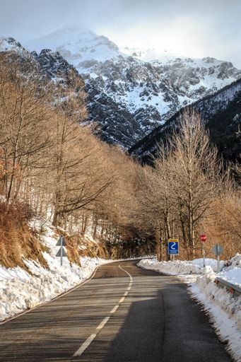 An asphalt highway through the countryside in winter