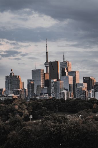 A vertical shot of modern skyscrapers surrounded by greenery under the sunlight in Toronto, Canada