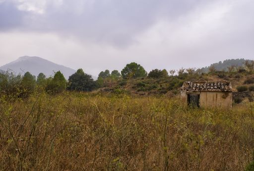 A small damaged weathered abandoned house surrounded by trees and mountains under a gray cloudy sky